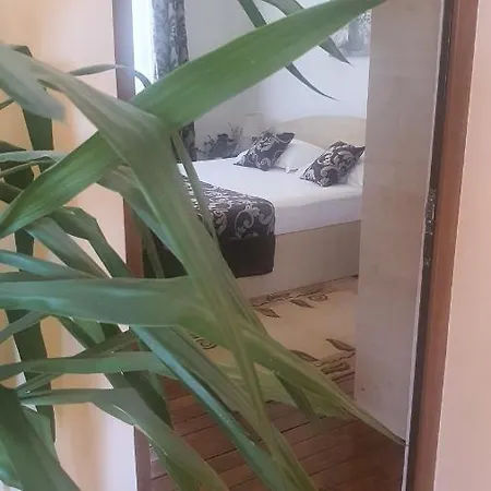 Villa Miraj Summer Rezidence Eforie Nord
